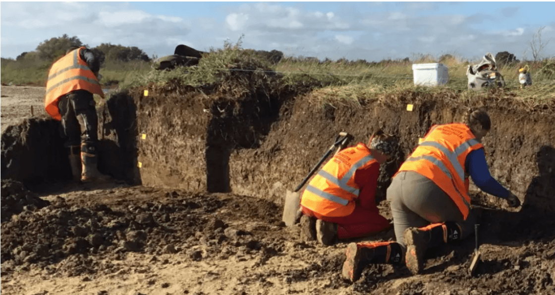 Archaeological excavations taking place at Mersea (image: Colchester Archaeological Trust)